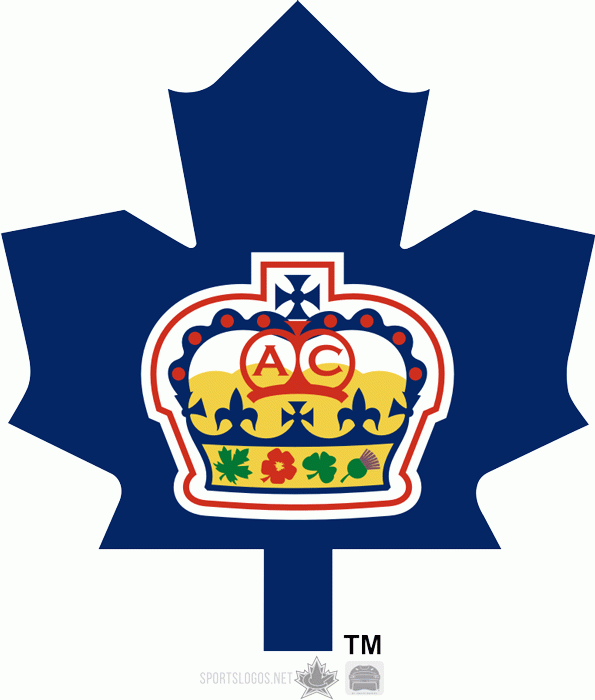 Toronto Marlies 2005 06-2006 07 Alternate Logo v2 iron on heat transfer